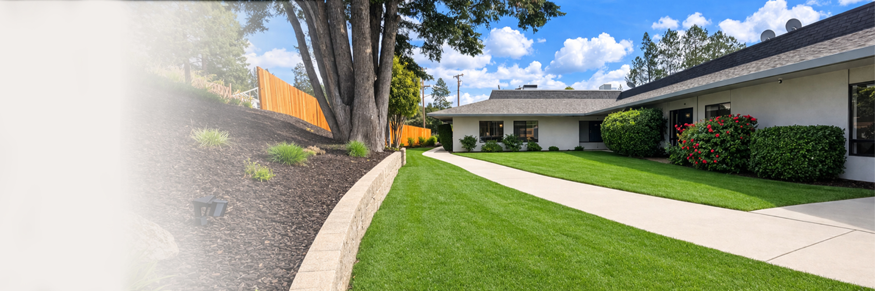 Desktop Background Image